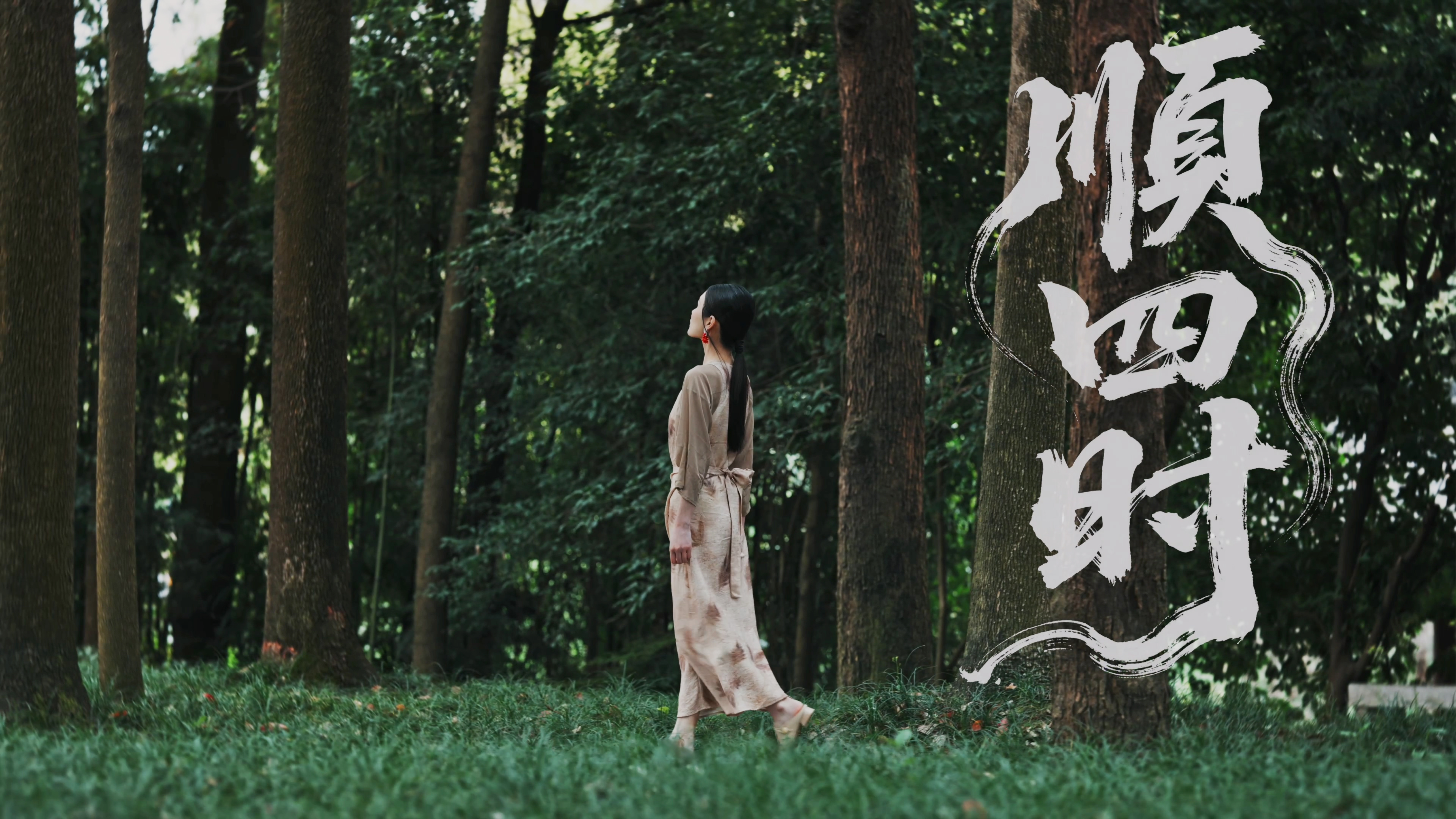 产品系列